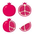 Pomegranate illustration set