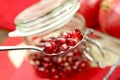 Pomegranate in the Jar