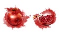 Pomegranate whole and slice with seeds isolated