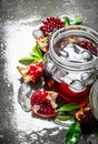 Pomegranate juice in a tin with ice and slices with leaves . Royalty Free Stock Photo