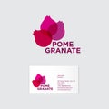 Pomegranate logo. Pomegranate emblem, identity. Three transparent grenades and an inscription against a light background.