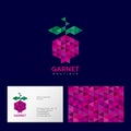 Pomegranate logo. Pomegranate fruit and leaves are similar to crystal. Identity, corporate style. Royalty Free Stock Photo