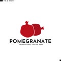 Pomegranate logo. Isolated fruit on white background Royalty Free Stock Photo