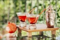 Pomegranate martinis Royalty Free Stock Photo