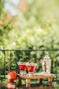 Pomegranate martinis Royalty Free Stock Photo