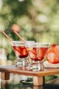 Pomegranate martinis Royalty Free Stock Photo