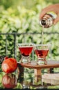Pomegranate martinis Royalty Free Stock Photo