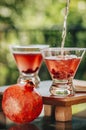 Pomegranate martinis Royalty Free Stock Photo