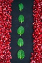 Pomegranate with mint on a black background