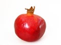 Pomegranate paintings suitable for advertisement and logo design Royalty Free Stock Photo
