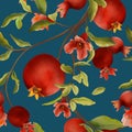 Pomegranate pattern, watercolor red fruit flower, food tree bloom illustration, leaf branch, color tropical design on dark
