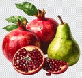 Pomegranate and Pear Illustration, Fresh Fruit Concept Royalty Free Stock Photo