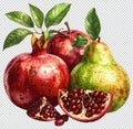 Pomegranate and Pear Illustration, Fresh Fruit Concept Royalty Free Stock Photo