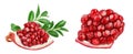 Pomegranate piece with leaf isolated on white background with full depth of field. Royalty Free Stock Photo