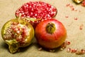 Pomegranate (Punica granatum)