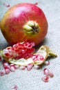 Pomegranate (Punica granatum) Royalty Free Stock Photo