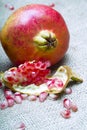 Pomegranate (Punica granatum)