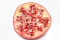 The pomegranate (Punica granatum), a fruit-bearing deciduous shrub in the family Lythraceae, subfamily Punicoideae