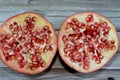 The pomegranate (Punica granatum), a fruit-bearing deciduous shrub in the family Lythraceae, subfamily Punicoideae