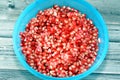 The pomegranate (Punica granatum), a fruit-bearing deciduous shrub in the family Lythraceae, subfamily Punicoideae