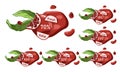 Pomegranate sale label sticker set on white isolated backdrop stock vector illustration Royalty Free Stock Photo