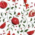 Pomegranate seamless vector background