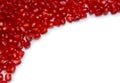 Pomegranate seed border isolated on white, clipping path include