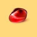 Pomegranate seed isolated on a cream color background. Vector illustration