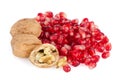 Pomegranate seed pile and nuts Royalty Free Stock Photo