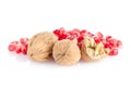 Pomegranate seed pile and nuts Royalty Free Stock Photo