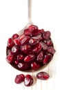 Pomegranate Seeds