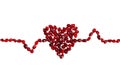 Pomegranate seeds forming cardiogram