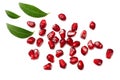 pomegranate seeds isolated on white background. top view. pomegranate berries. Royalty Free Stock Photo