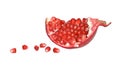 Pomegranate segment Royalty Free Stock Photo