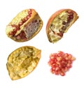 Pomegranate Shells Isolated Royalty Free Stock Photo