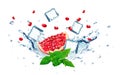 Pomegranate splash Royalty Free Stock Photo