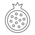 Pomegranate thin line icon, food and fruit, garnet sign, vector graphics, a linear pattern on a white background.