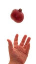 Pomegranate Toss Royalty Free Stock Photo