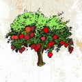 Pomegranate tree on grunge background Royalty Free Stock Photo