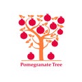 Pomegranate tree isolated