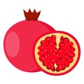 Pomegranate vector.Fresh pomegranate illustration