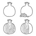 Pomegranate Vector Illustration Hand Drawn Fruit Cartoon