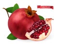 Pomegranate vectorized image. Fresh fruit. 3d realistic vector icon Royalty Free Stock Photo