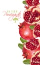 Pomegranate vertical banner