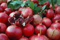 Pomegranates Royalty Free Stock Photo