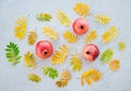 Pomegranates and autumn ashberry tree leaves Royalty Free Stock Photo