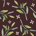 Pomegranates branches and tiny beige flowers seamless pattern on dark brown. Watercolor illustration with olive tree Royalty Free Stock Photo