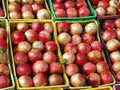 Pomegranates fruits Royalty Free Stock Photo