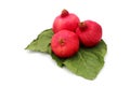 Pomegranates on green leaves symbols of the Jewish new year (Rosh HaShana) Royalty Free Stock Photo