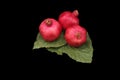 Pomegranates on green leaves symbols of the Jewish new year (Rosh HaShana)